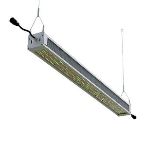 Quality Waterproof Commercial LED Flood Lights wholesale