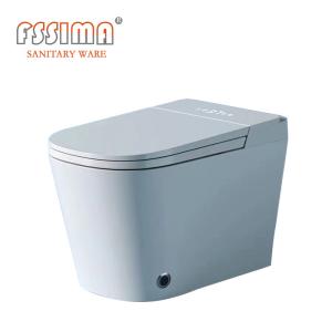 Quality Japanese Intelligent Toilet Water Bidet Buttocks Washing Fully Smart 60KG wholesale