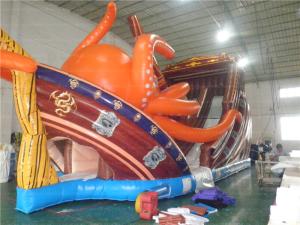 Quality Amazing Inflatable Slide (CYSL-23) wholesale