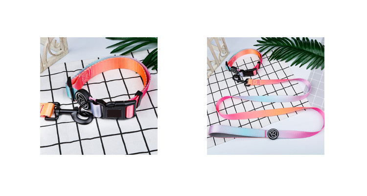 Polyester cute dog leash and collar set Anti Break Metal Buckle Lable With Handle