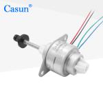 Linear Permanent Magnet Stepping Motor 280g.cm 4 wires 12V for Beauty Equipment