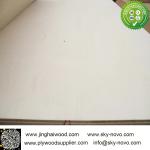 Poplar plywood
