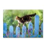 Animal New Cartoon Large Carpet Source Wholesale Feather ins Style Bedroom Floor