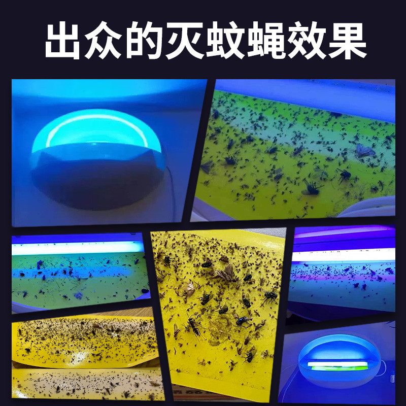 High Strength Plastic Trap Mosquito Killer 220V 50Hz Mosquito And Flies Killer Trap