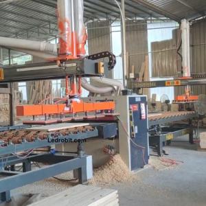 China 800Kg Capacity Wooden Board Automatic Loading Machine on sale