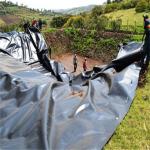 Waterproof Projects Plastic Geomembrane Fish Farming Tank Pond Tarpaulin Shrimp