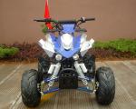 Front / Rear Disc Brake Four Wheelers For Adults , 110cc Four Wheeler Electric