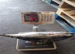 Whole Round BQF 5kg 10kg Yellowfin Fresh Frozen Tuna