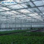 Agriculture Multi Span Venlo Glass Greenhouse For Tomato Planting