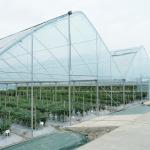 Outdoor Plastic Film Poly Tunnel Agricultural Seeding Greenhouse For Sale