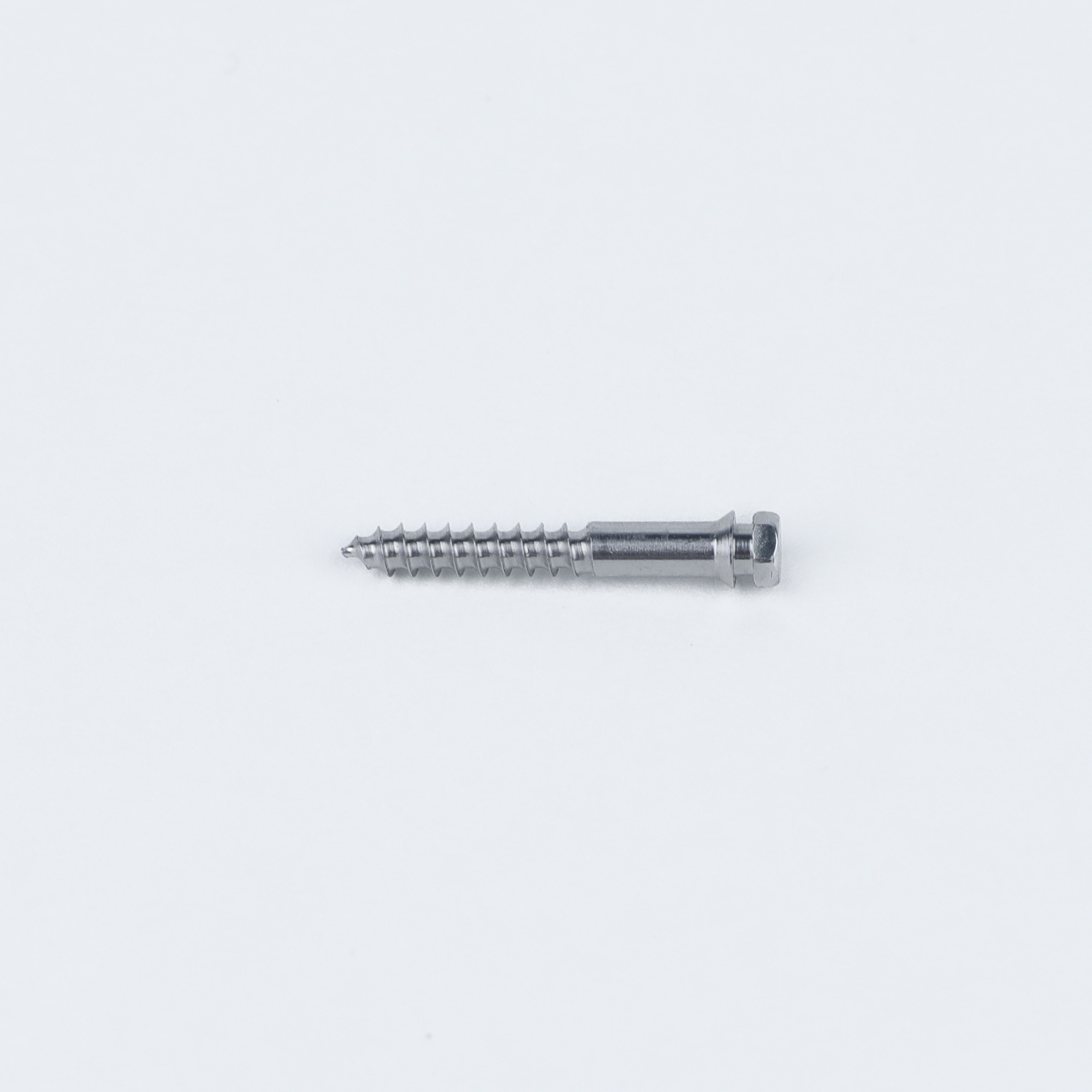 2-Pack Orthodontic TAD MSE Titanium Mini Screws Primary Application Micro-Implant Assisted Rapid Palatal Expansion MSE