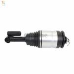 Air Suspension Strut Unit LHR 2010-13 OEM LR020000 LR023234 LR032651 rear