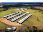 30000 Poultry Complete Large Broilers Chicken Shed Automatic Chicken House