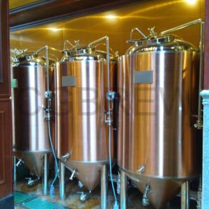Quality 200L brewpub equipment for sale for small business on craft beer wholesale