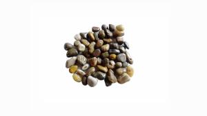 Quality Kitchen Bathroom Pebble Stone Tiles , Island Stone Pebbles Frost Resistant wholesale