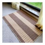 Simple Modern Indoor Outdoor Mat Washable Indoor Mat 20 X 30 Inch For Entrance