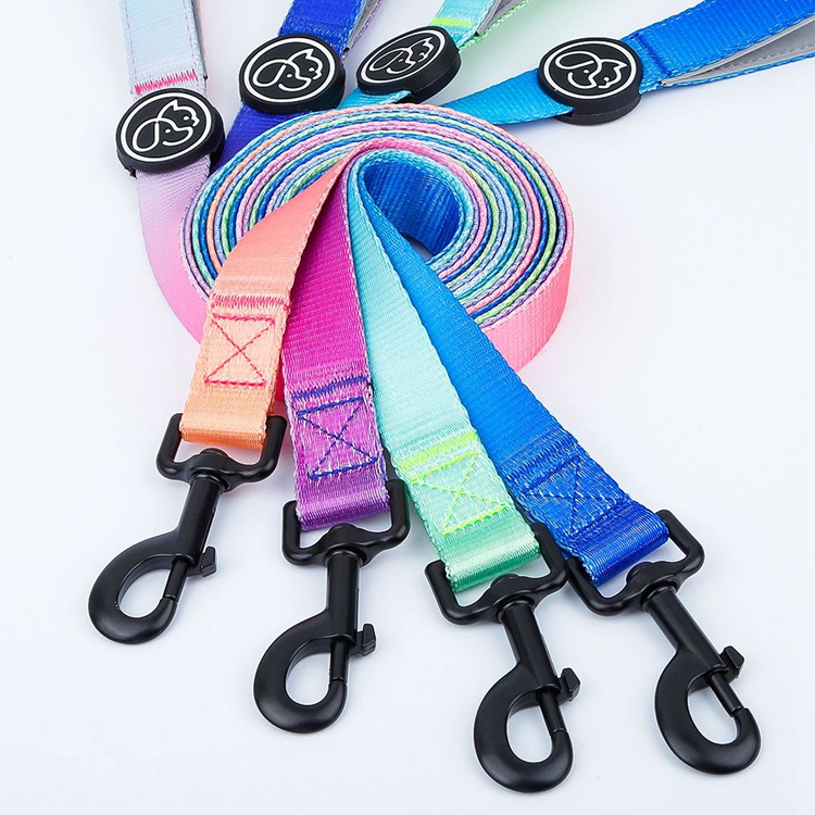 Gradient Waterproof Harness Collar Leash Set Blue Pink Purple Puppy Collar And Lead Set