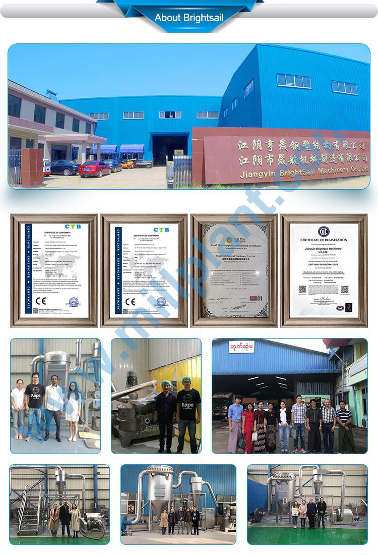 2.2kw SS304/316 Ginger Garlic Paste Making Machine