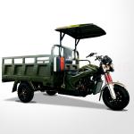 800W Power Battery Engine Plate 3 Wheel Cargo Tricycle for Adult Car