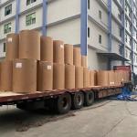 Waterproof Silicone Parchment Paper Jumbo Roll 50m 100m 5000m 7000m Coating