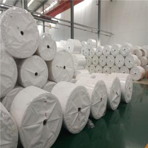 Quality Tree Free White Coated Stone Paper Waterproof 120g 144g 168g 240g Tear Resistant wholesale