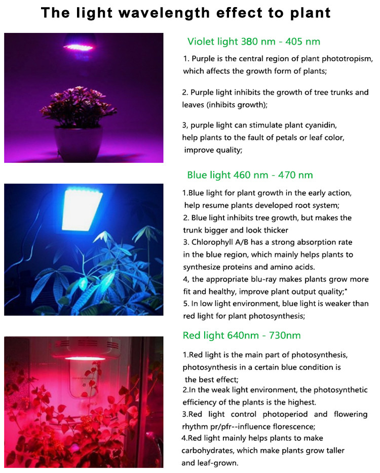 3030 SMD LED Grow Light 0.5W 1W Full Spectrum For Indoor Farming Plant