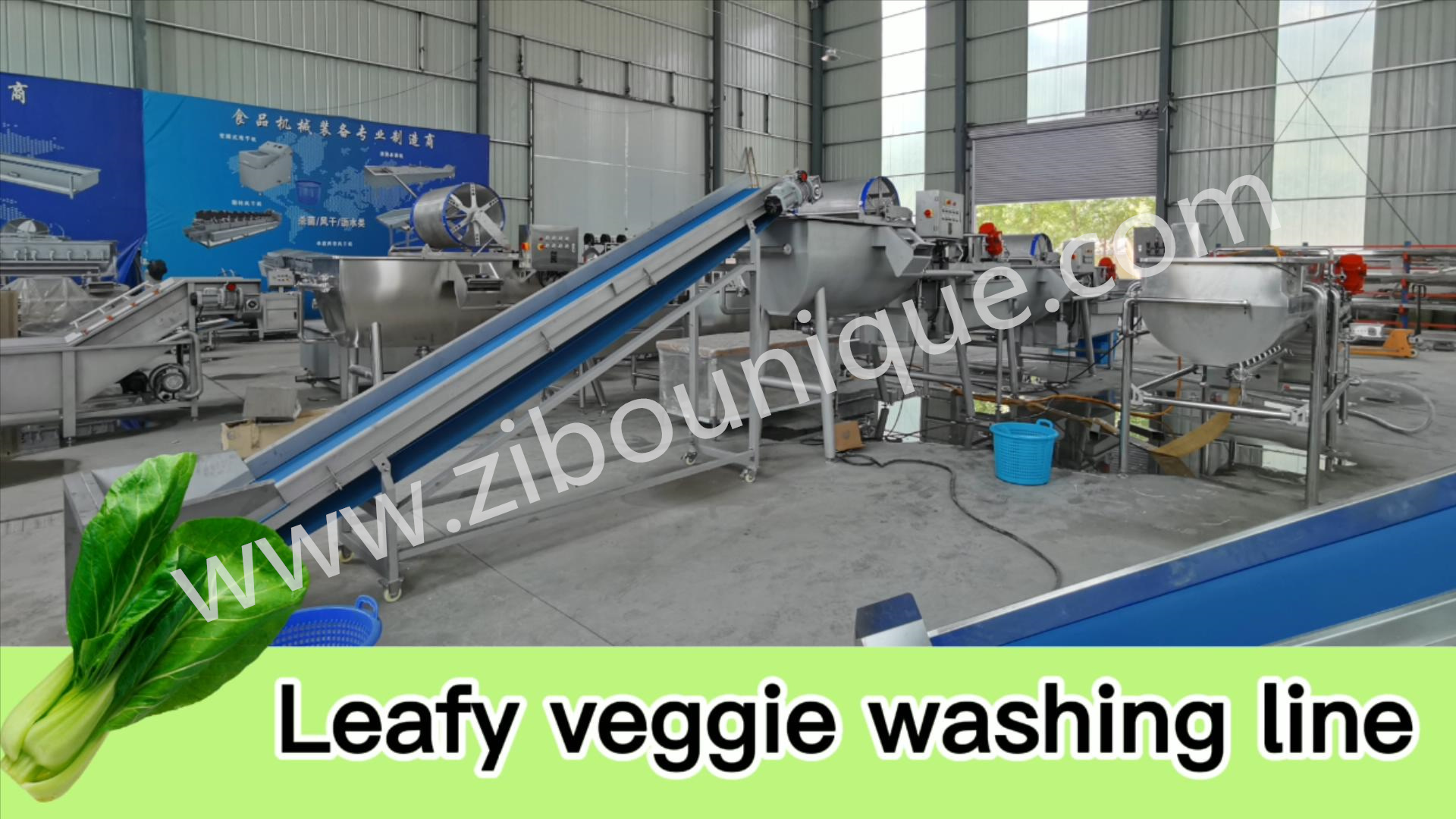 1000-1500 kg/h Capacity Root Vegetable Cutting Machine for Large Scale Production