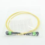 Single Mode 2m MPO Optical Cable 12 Core Bundled 120N