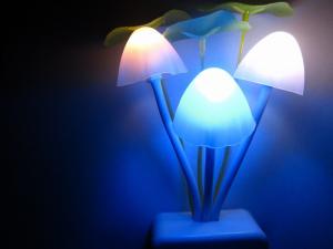 Quality Colorful LED Night Light/ kids led night lamp/ night lighting wholesale wholesale