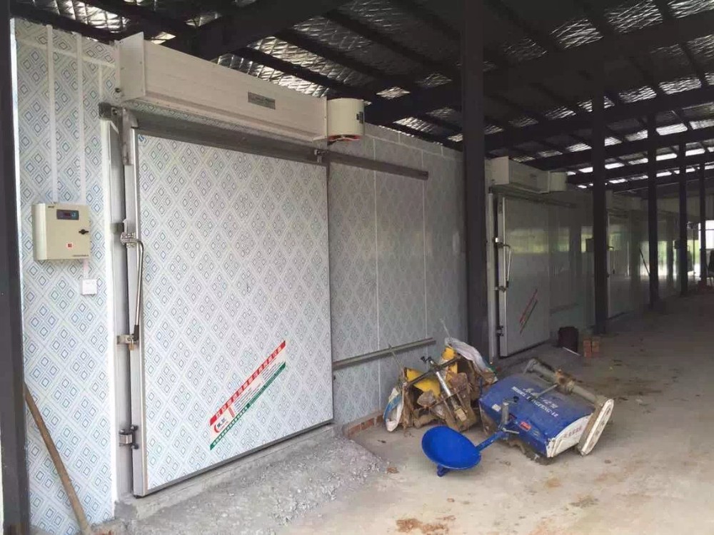 Modular Cold Room Efficiency For Food Preservation CE Certificated