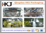 Food Products Automatic Carton Packing Machine With Carton Erector Machine