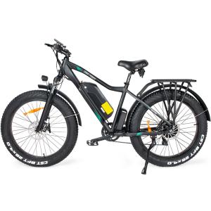 Quality 26 Inch Mountain Beach Electric Bicycle Ebike Fat Tire For Adults 48V wholesale