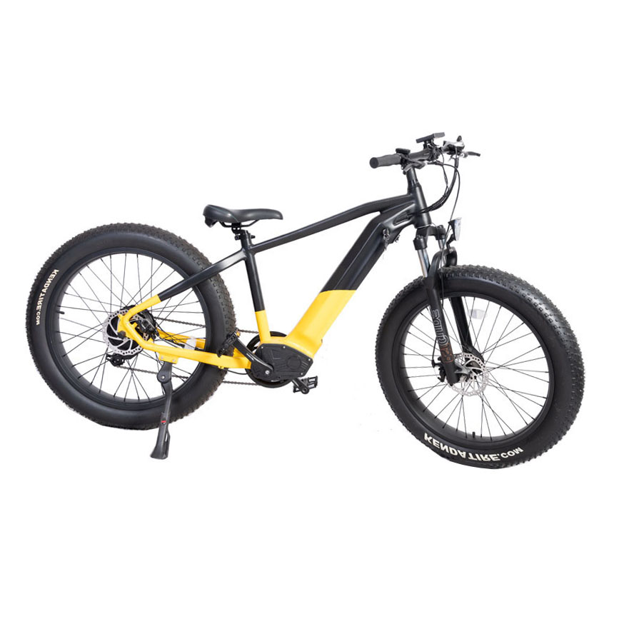 Electric Mountain Bike High Power 1000W Bafang Dual Motor and Rear Drive Speed 38km/h