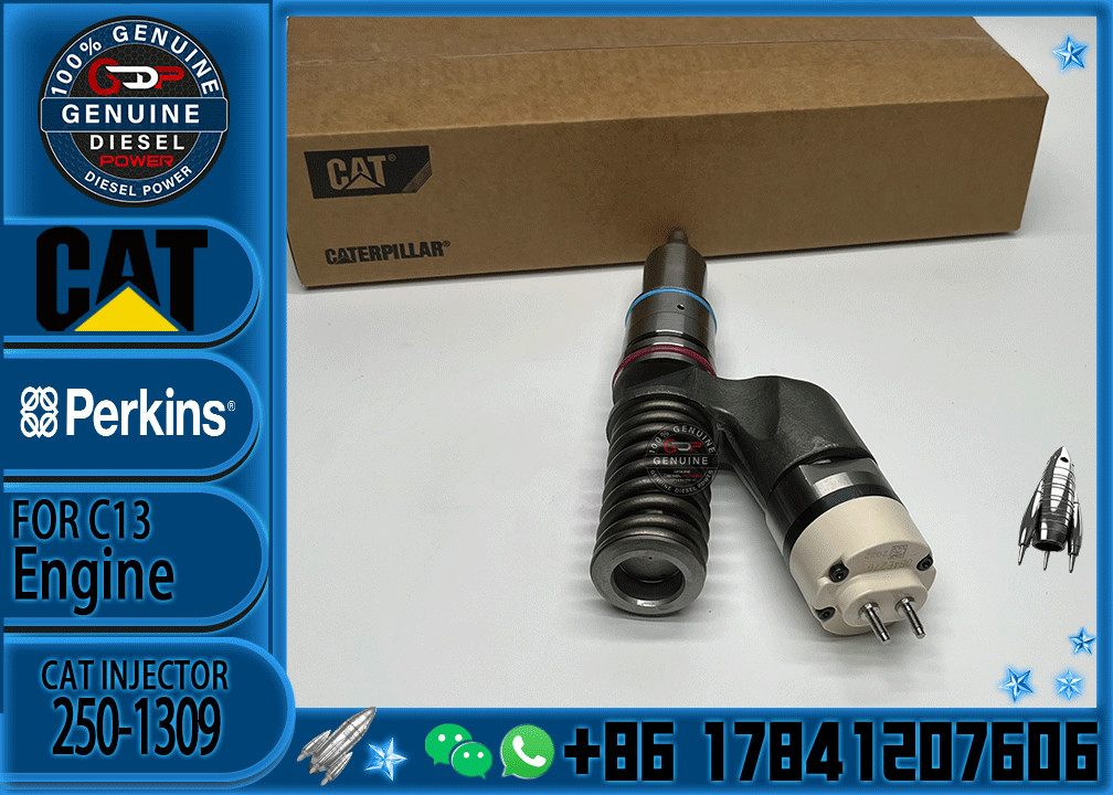 13282585 20R8066 Diesel Fuel Injector 328-2585 20R-8066 For Cat C7 IT62H PM-102 120 140 160 525 535 545 325 326 328 329
