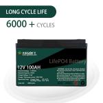 ODM SAA Lifepo4 12V Lithium Battery Pack 100ah 200ah 300ah For Golf Cart System