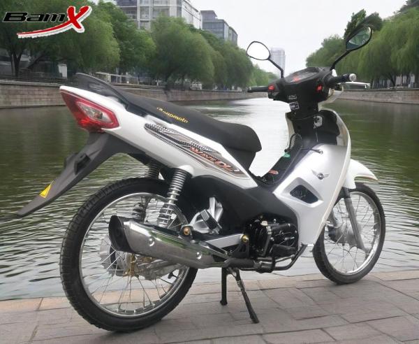110cc CUB Motorcycle Max Power 4.7/8000kw/r/min Fuel Tank 4.4L Disc Brake Red