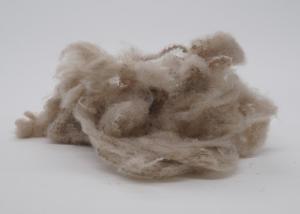 Quality Flame Retardant Regenerated Polyester Fiber 15D 64mm Automotvie Fabric Use wholesale