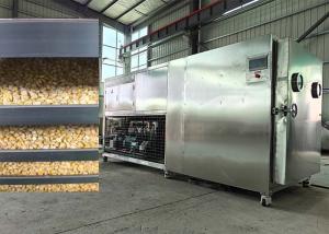 Quality Food Freeze Dryer Fruit Machine Lyophilizer Drying Equipment wholesale