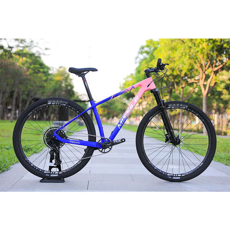 29" Carbon Fiber Mountain Bike For Adults With Sunshine 11-50T 12speed HG Cassette