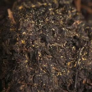 Quality Slimming Organic Dark Chinese Tea Wholesale Health Pollution Free wholesale