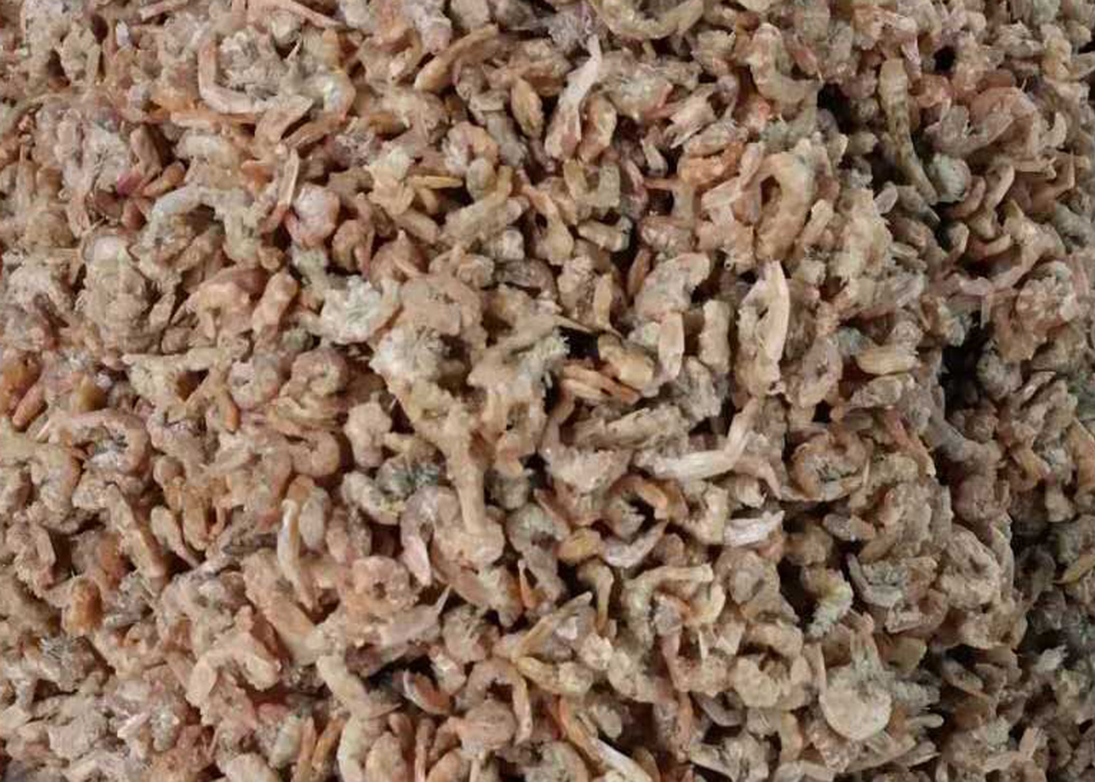 Shrimp Belt Tea Colour Sorter Machine Seafood Shrimp Separate Machine