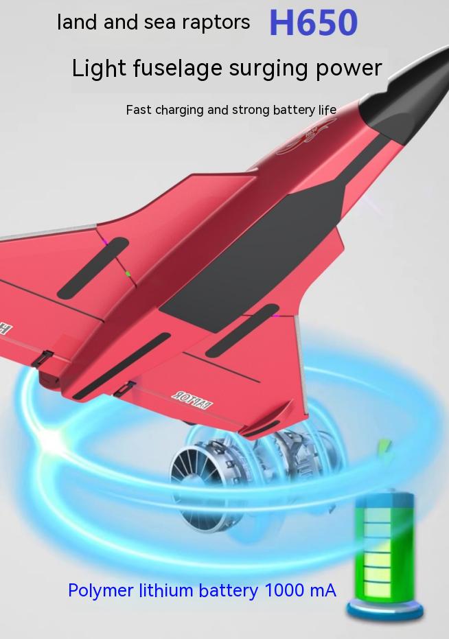 Electric Power Raptor H650 Long Range 2.4g Proportional Sea Land Air Led Aerobatics Stunt RC Glider with 6 Channels Control