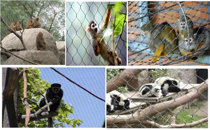 Stainless Steel Zoo Wire Mesh , Knitted Animal Enclosure Mesh Fence 1