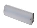 IP65 Waterproof Small Size Emergency Light With 3 Years Warranty