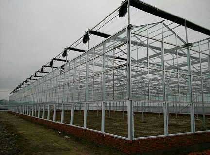 Economical European Polycarbonate Greenhouse with Roof and Side Ventilation Panels