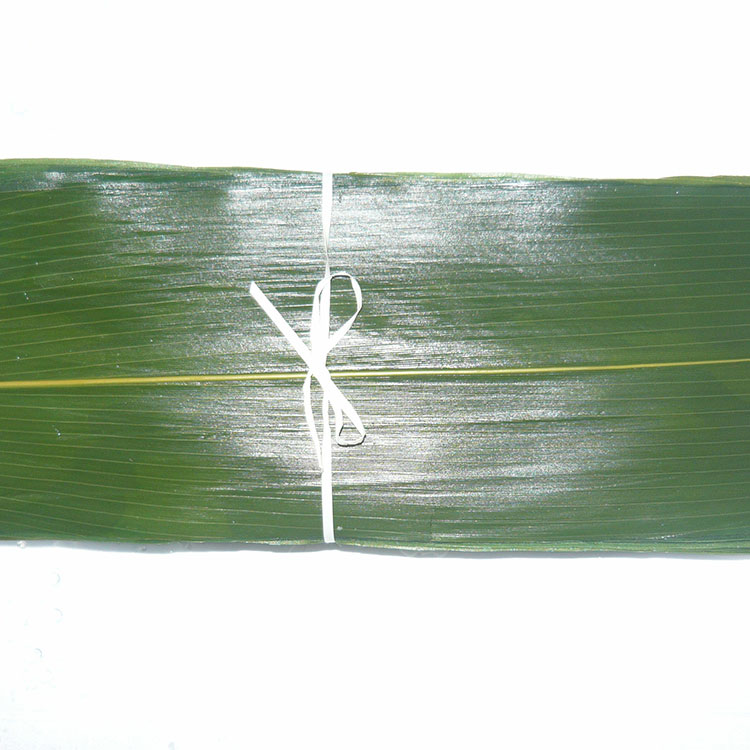 Nature Green HOBA Bamboo Leaves The Essential Ingredient for Serving Sushi