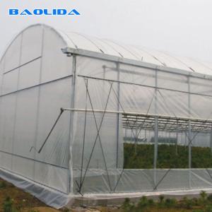 Quality plastic film Hobby Structure Multispan Tunnel Plastic Greenhouse wholesale
