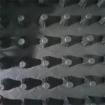 Traditional Design Style Water Conservancy HDPE PVC Drainage Board for