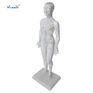 Quality Female Medical Acupuncture 48cm Human Body Massage Model wholesale