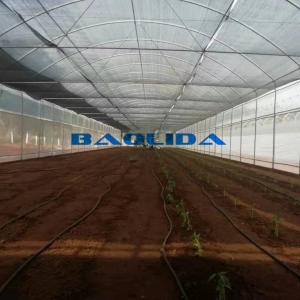 Quality Clear UV Treated Film Anti Rust Metal Structure Tunnel Greenhouse wholesale